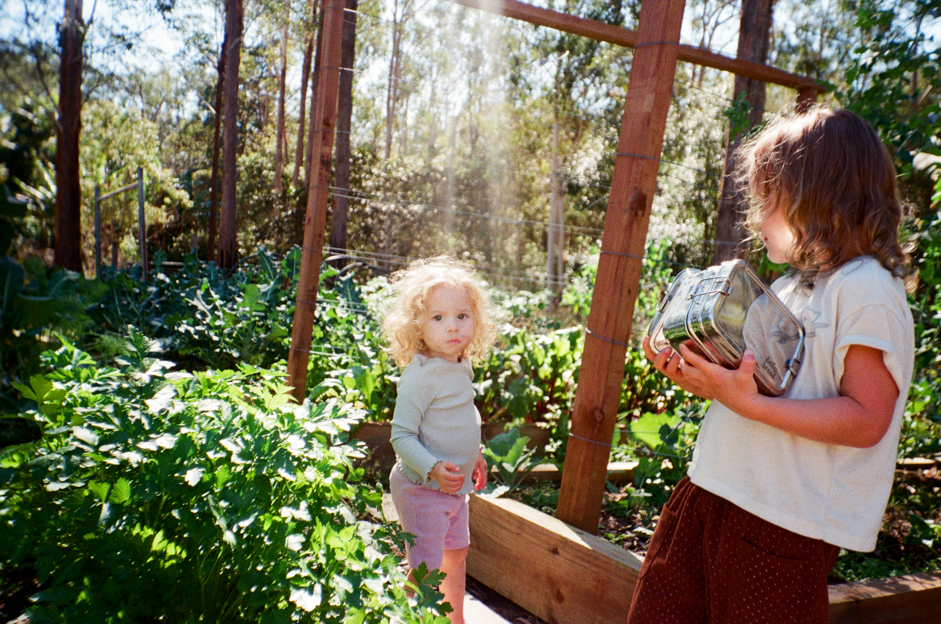 Two children explore a sun drenched garden carrying stainless steel The Daily Bread Co lunchboxes.